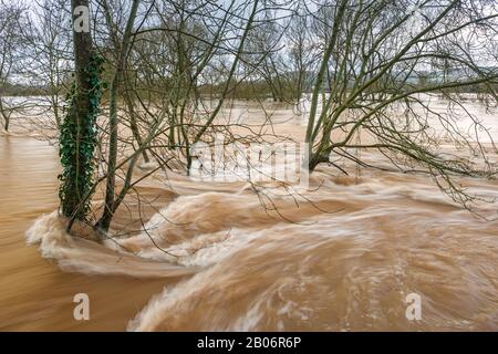 Record breaking high water levels in the river Wye at Monmouth, February 2020. Stock Photo