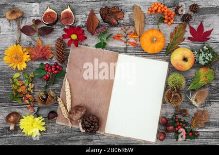 Autumn nature study composition with food, flora and fauna with old hemp notebook  on rustic wood background. Top view. Stock Photo