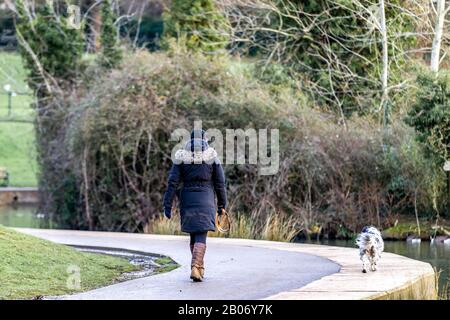 Abington Park, Northampton. 19th Feb 2020. UK Weather: Walking the dog around the lake in Abington Park on a clear bright morning wrapped up against the cold. Credit: Keith J Smith./Alamy Live News Stock Photo