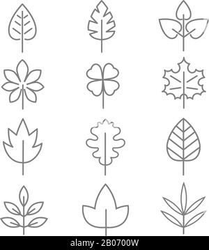 Leaf thin line vector icons. Linear leaves oak and maple illustration Stock Vector