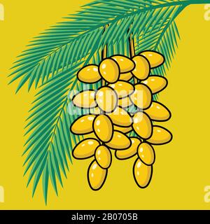 Fresh Dates on palm tree. Summer tropical fruits Stock Vector