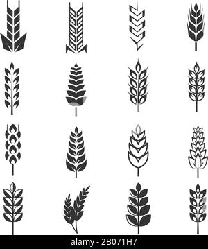 Wheat ears vector icons. Natural harvest rye and organic food illustration Stock Vector