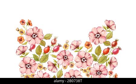 Watercolor floral background. Autumn flowers arch with rose hip fruits, briar, leaves isolated on white. Hand painted botanical illustration in Stock Photo