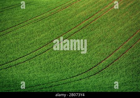 Rolling hills with fields suitable for backgrounds or wallpapers, natural seasonal landscape. Southern Moravia, Czech republic Stock Photo