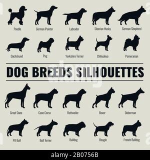 Dog breeds vector silhouettes set. Poodle and german shepherd, dachshund and pug illustration Stock Vector