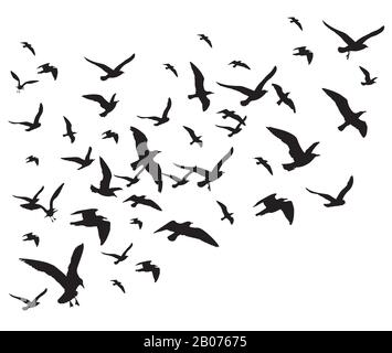 Flying birds flock vector illustration isolated on white background. Silhouette of black pigeon hawk and eagle Stock Vector