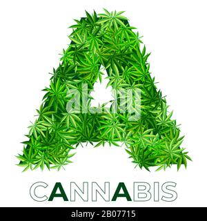 Cannabis Hemp Leaf Logo Stock Vector