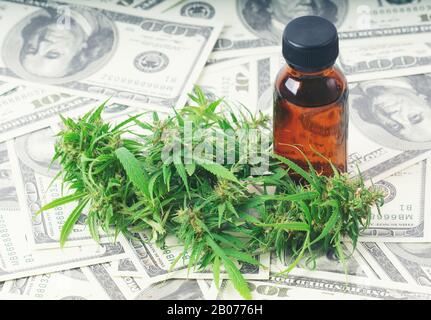 cannabis with cannabidiol (cbd) extract on hundred dollar banknote Stock Photo