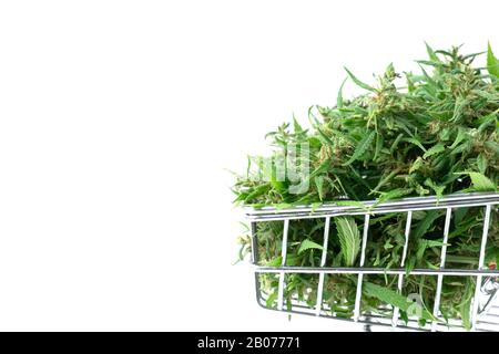 fresh marijuana flower in shopping cart isolated on white background Stock Photo