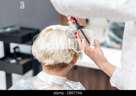 Hairdresser applies white dye on woman's hair in beauty salon. Stock Photo