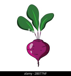 Beet with leaves Vector illustration. Red Beet flat style logo icon Stock Vector