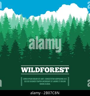 Wild landscape with fir trees coniferous forest vector illustration. Wood nature with pine and green tree Stock Vector