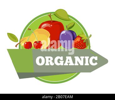 Natural organic fruits with green leaves logo, label, badge template. Vector illustration Stock Vector