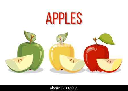 Three apples with slices isolated o white background. Vector illustration Stock Vector