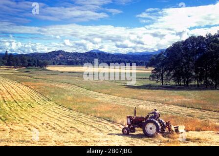 Vintage tractor hay making on a farm on road trip in Oregon USA Stock Photo