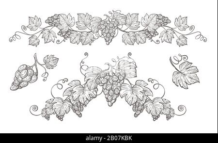 Grape bunches on branch isolated sketches, berries cluster Stock Vector