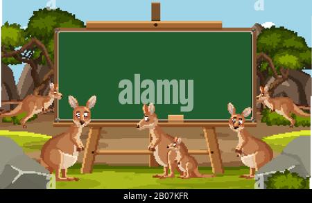 Blackboard template design with kangaroo in the zoo illustration Stock ...