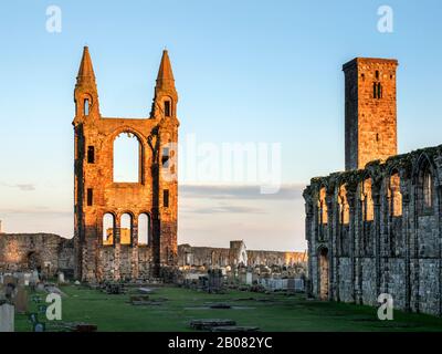 The ruins of St Andrews Cathedral illuminated by the setting sun in St Andrews Fife Scotland Stock Photo