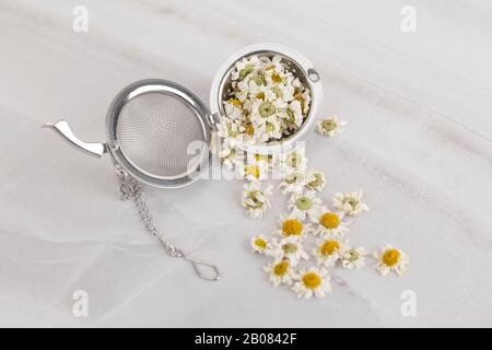 the Memorial Day concept, white chrysanthemum flower 145 Stock Photo