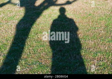Shadow of man and tree Stock Photo