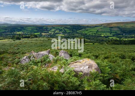Bonehill Down in late summer in Dartmoor National Park with Widecombe-in-the-Moor beyond, Devon, England. Stock Photo