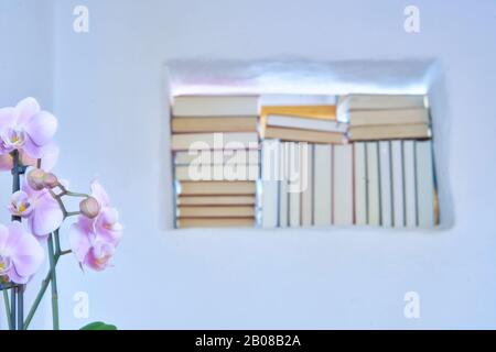 Closeup of an orchid with a background of unsharp books in a white wall, modern living Stock Photo