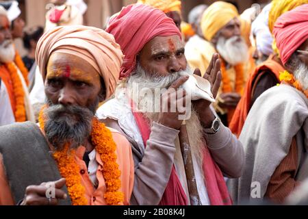 Pushkar,Rajasthan /India. 06 /11/2019. Indian Group of Old Sadhus With Tilak On Forehead and Blowing Sankh in Rally of Sadhus on Road Stock Photo