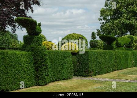 A formal English garden in Summer at Grimsthorpe Castle, Lincolnshire, UK Stock Photo