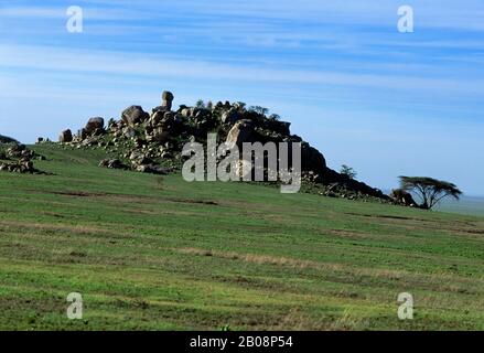 TANZANIA, SERENGETI, GRASS PLAIN WITH KOPJE (ROCK FORMATION Stock Photo ...