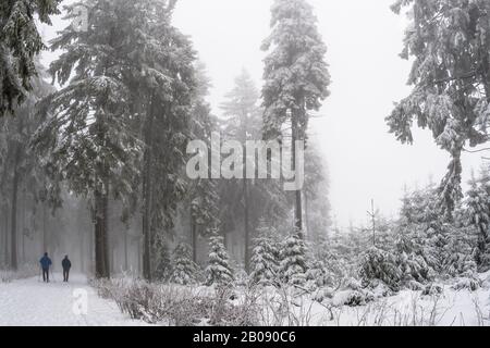 two people walking in a snowy winter forest Stock Photo