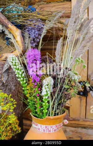 View of useful herbs and plants used in traditional medicine Stock Photo