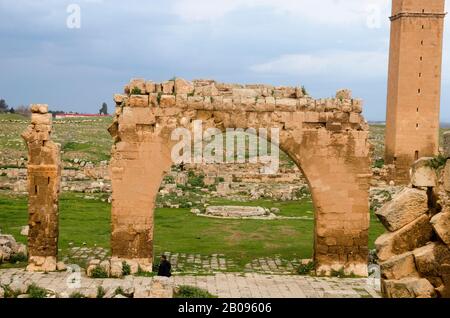 Oldest University in the World, Harran University Stock Photo