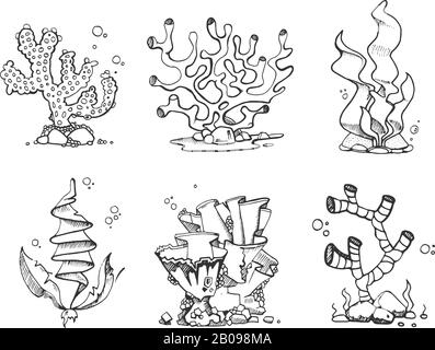 Vintage corals and seaweeds in hand drawn, doodle, sketch style vector set. Seaweeds plant marine, illustration of frame corals Stock Vector
