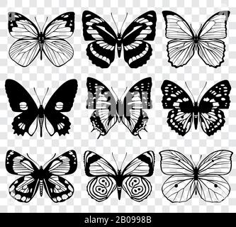 Butterfly silhouettes vector macro collection. Set of butterfly set, illustration of black silhouette butterflies Stock Vector