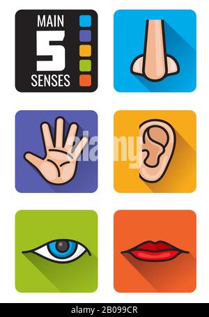 Five senses, nose, hand, mouth, eye, ear vector icons set. Set of human senses smell sight, hearing taste and touch illustration Stock Vector