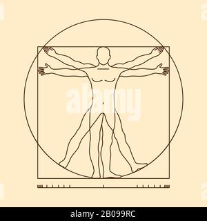 Leonardo da vinci vitruvian man form similar vector. Illustration of body man, classic proportion man Stock Vector