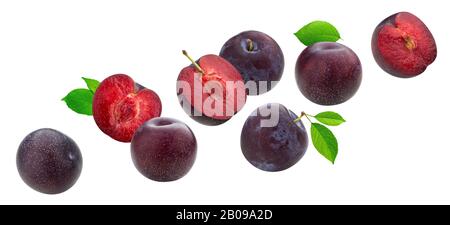 Falling plums with leaves isolated on white background Stock Photo