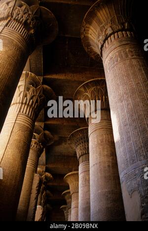 EGYPT, NILE RIVER, ESNA, TEMPLE DEDICATED TO GOD KHNUM, INTERIOR, COLUMNS Stock Photo