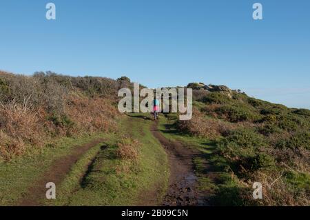 Female Walking on a Muddy Dirt Track on the South West Coast Path Between Lizard Point and Coverack in Rural Cornwall, England, UK Stock Photo