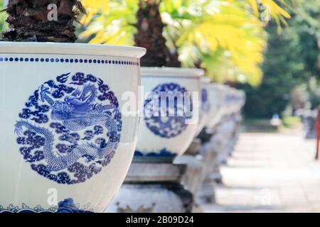 Traditional asian pots with palms inside. White pots with typical blue dragon, Vietnam Stock Photo