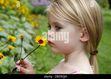 Profile of beautiful 3 year old blond toddler holding and smelling a yellow flower Stock Photo