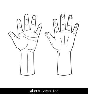 Vector hands illustration in black and white. Human hand outline