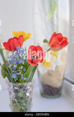 Spring bouquet with yellow tulips, carnations and daffodils. Fresh flowers in a white vase. Stock Photo