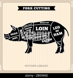 Pork, pig meat cutting vector vintage chart, cuts guide diagram. Pig cuts butcher diagram, illustration of section pig Stock Vector