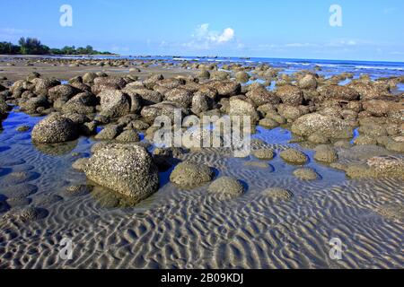 The Saint Martin's Island, locally known as Narkel Jinjira, is the only coral island of Bangladesh. October 22, 2008. Stock Photo