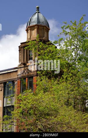 Architectural features of a building in the Auckland CBD, Auckland, New Zealand Stock Photo