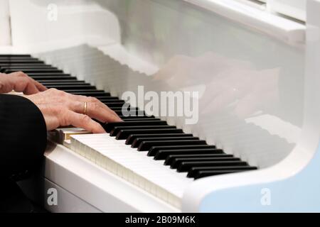 Pianist plays the piano, live music. Male hands on the keys of a white piano Stock Photo