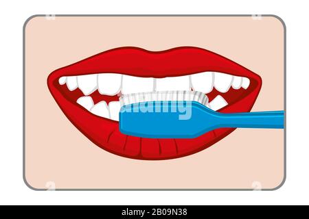 Woman brushing her teeth vector illustration. Clean and care dental Stock Vector
