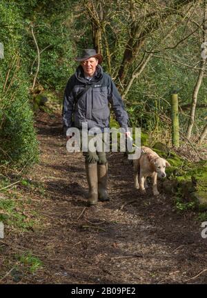 A man taking his young golden retriever for a walk in Baildon, Yorkshire. Stock Photo