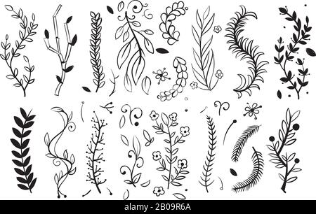 Hand drawn tree wood branches, boughs with leaves and spikes vector doodle floral design. Elements of floral branch, illustration of floral nature decoration Stock Vector